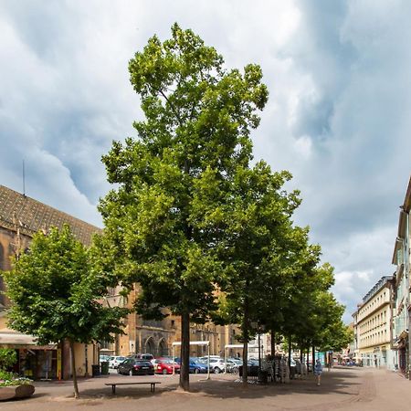 Le Griffon Lägenhet Colmar Exteriör bild